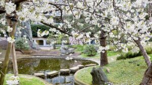 Jardin de la paix de l’UNESCO <br /> <br /> <img src="https://pariscosmop.fr/wp-content/uploads/2024/03/UNESCO-Jardin-C-UNESCO-Christelle-Alix-5.jpg" alt="Jardin-de-la-paix" style="width:98%" loading="lazy">